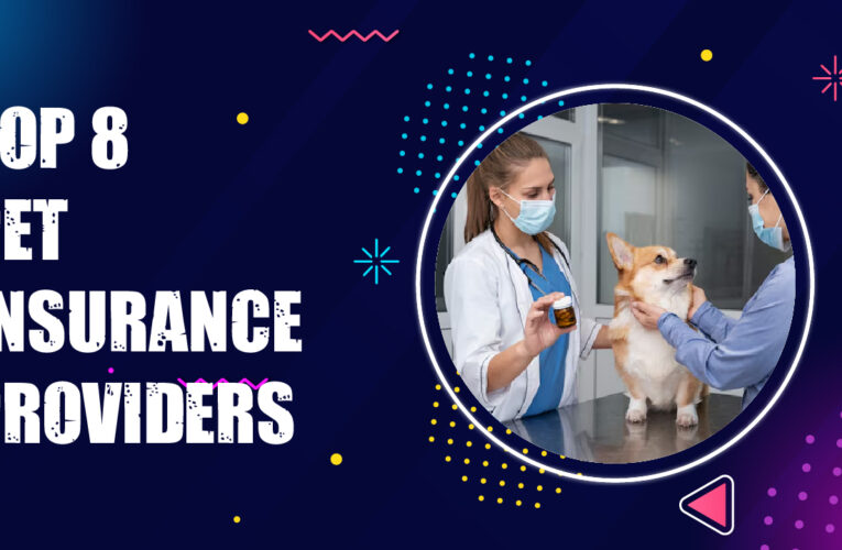 Top 8 Pet Insurance Providers in the USA